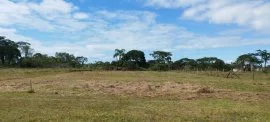 Terreno Comercial em Rócio - Uguape SP